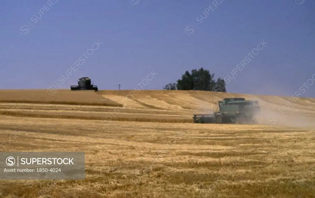Usa, Idaho, Agriculture, Combine Harvester In Wheat Field