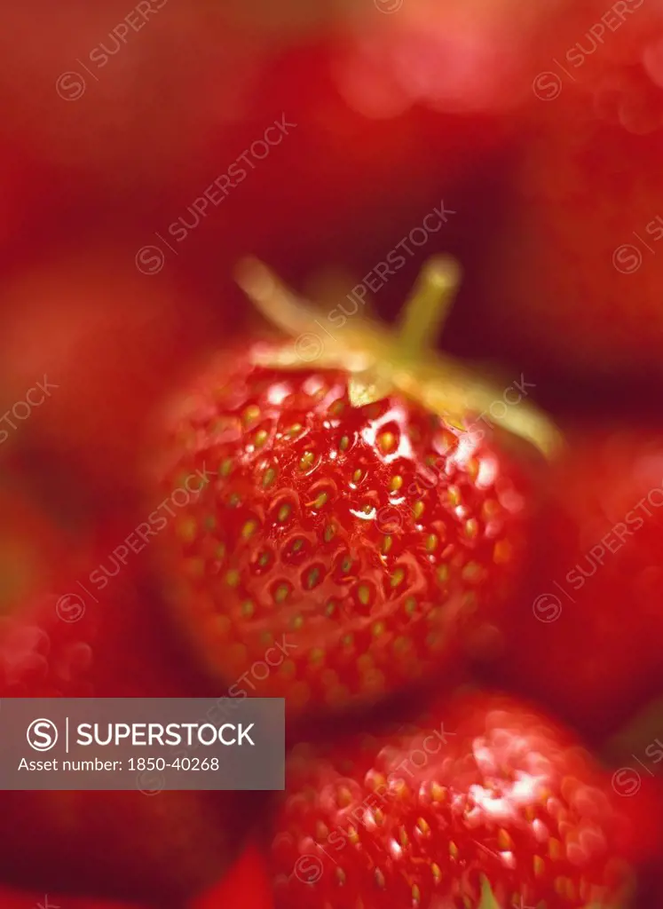 Fragaria x ananassa, Strawberry