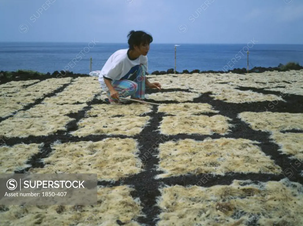 Japan, Izu Islands, Fishing, Woman Tending Seaweed Drying In The Sun