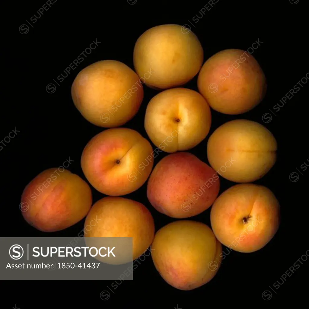 Prunus armeniaca, Apricot