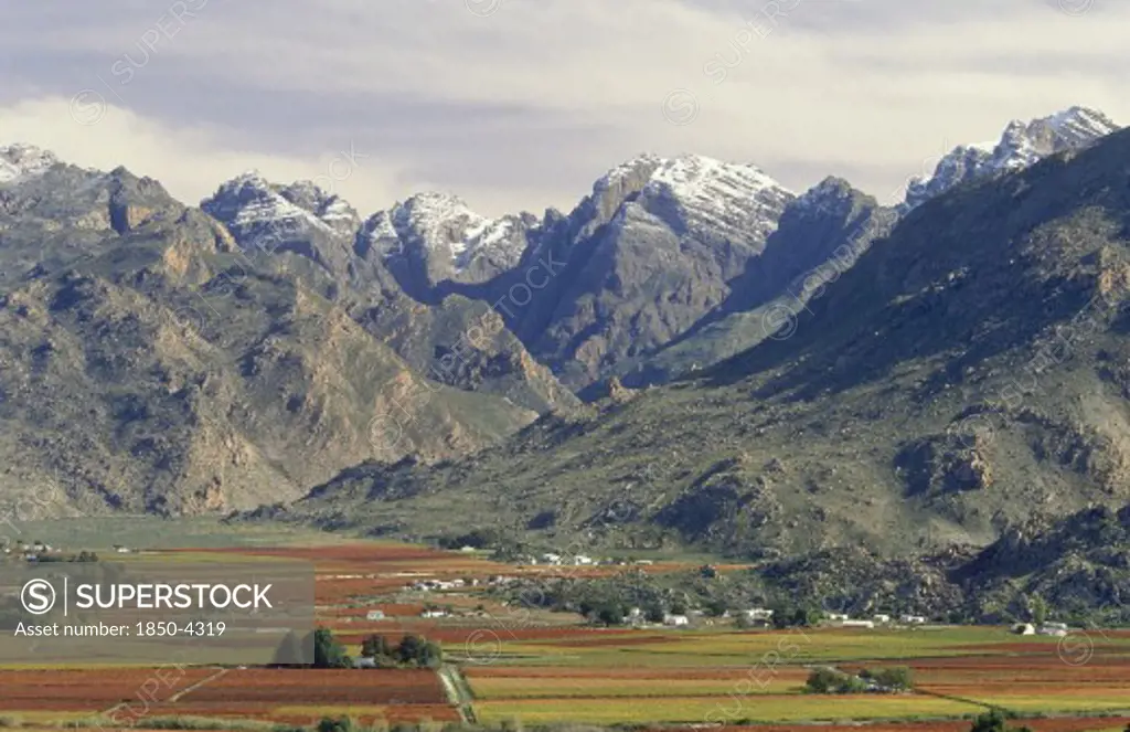 South Africa, Northern Cape, Hex River Valley, Wine Area With Flat Cultivated Land Below Snow Capped Mountains