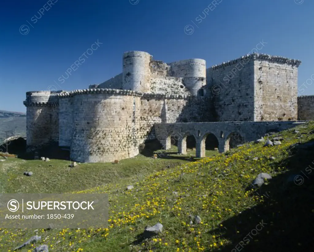 Syria, Central, Crac Des Chevaliers, Crusader Castle In Field Of Yellow Wild Flowers.