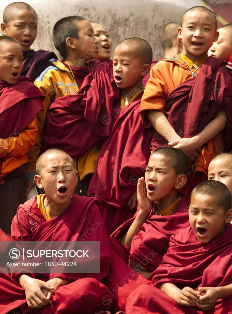 India,  Sikkim, Buddhist monks in a Losar chanting ceremony in a monastery.