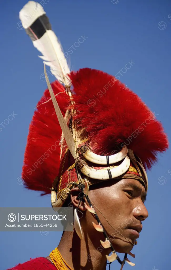 India, Nagaland, People, Head portrait side profile of a Naga Warrior tribal in traditional costume and head dress.
