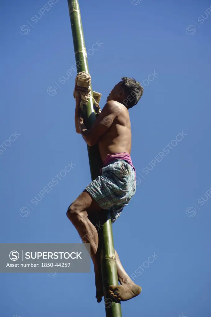 India, Nagaland, People, Naga Warrior tribal feat of climbing Bamboo poles.