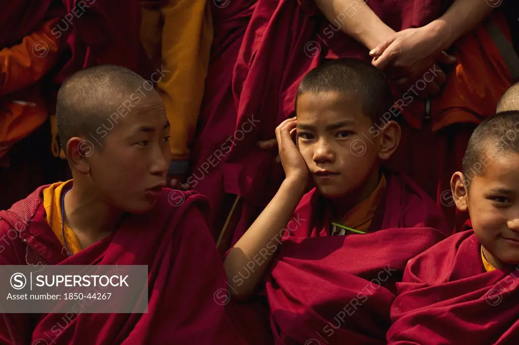 India,  Sikkiim, Portrait of novice Buddhist Monks.