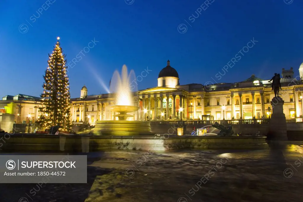 England,  London, Trafalgar Square Christmas tree and fountain illuminated at dusk.