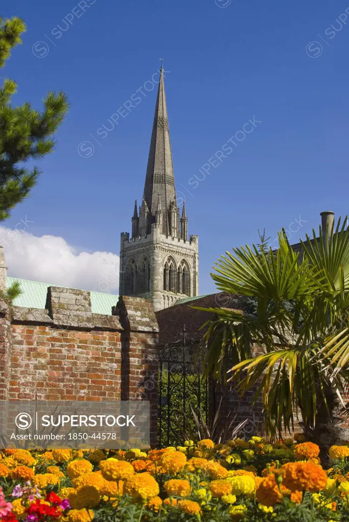 England, West Sussex, Chichester , Cathedral from Bishops Palace Gardens.