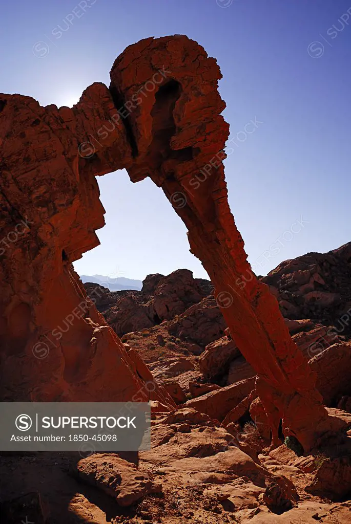 Elephant shape rock formation, USA Nevada Valley Of Fire State Park