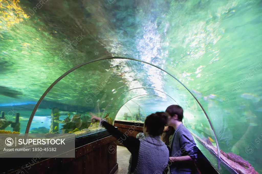 Interior of the Sea Life Centre underground Aquarium on the seafront curved glass tunnel under water.England East Sussex Brighton
