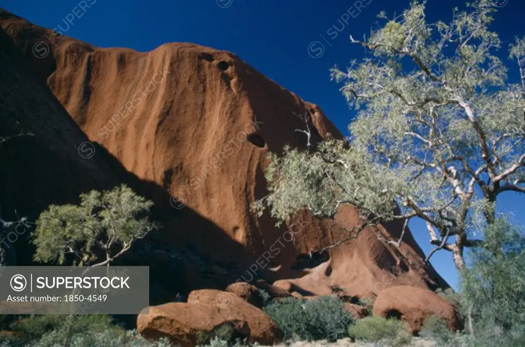Australia, Northern Territory, Uluru, Ayers Rock. Oblique View With Gum Trees At The Base