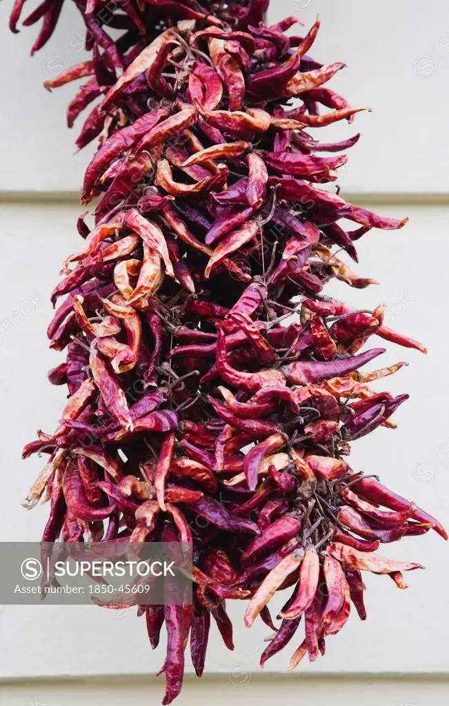 Hungary, Budapest, Drying chilis in central Pest.