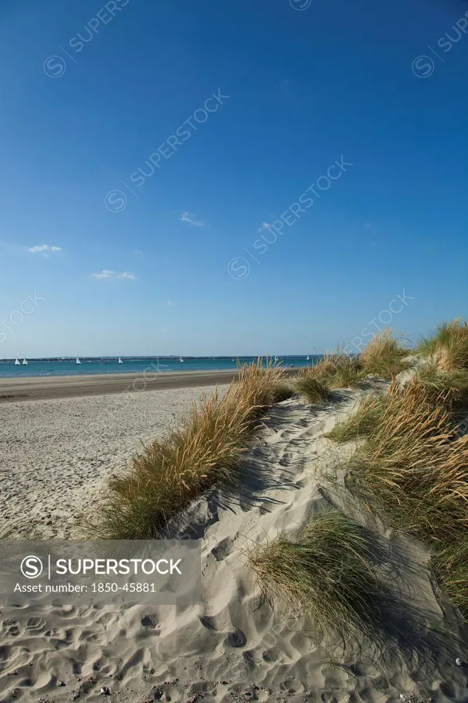 England, West Sussex, West Wittering Beach, East Head, Sand dunes and beach with sunshine and blue sky