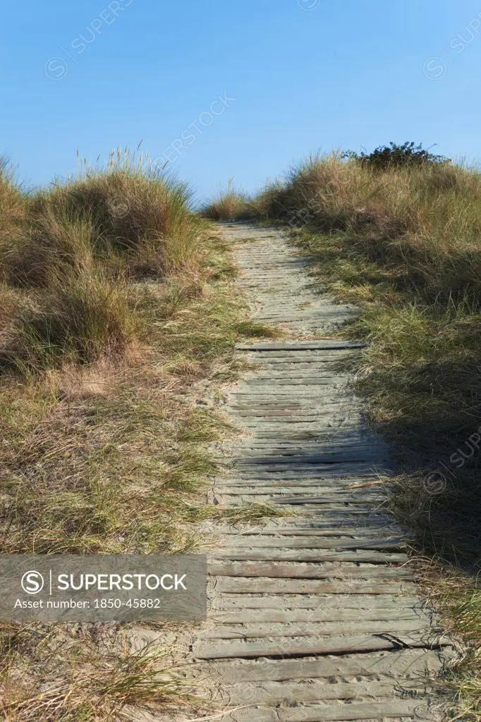 England, West Sussex, West Wittering Beach, East Head, Wooden pathway through sand dunes.