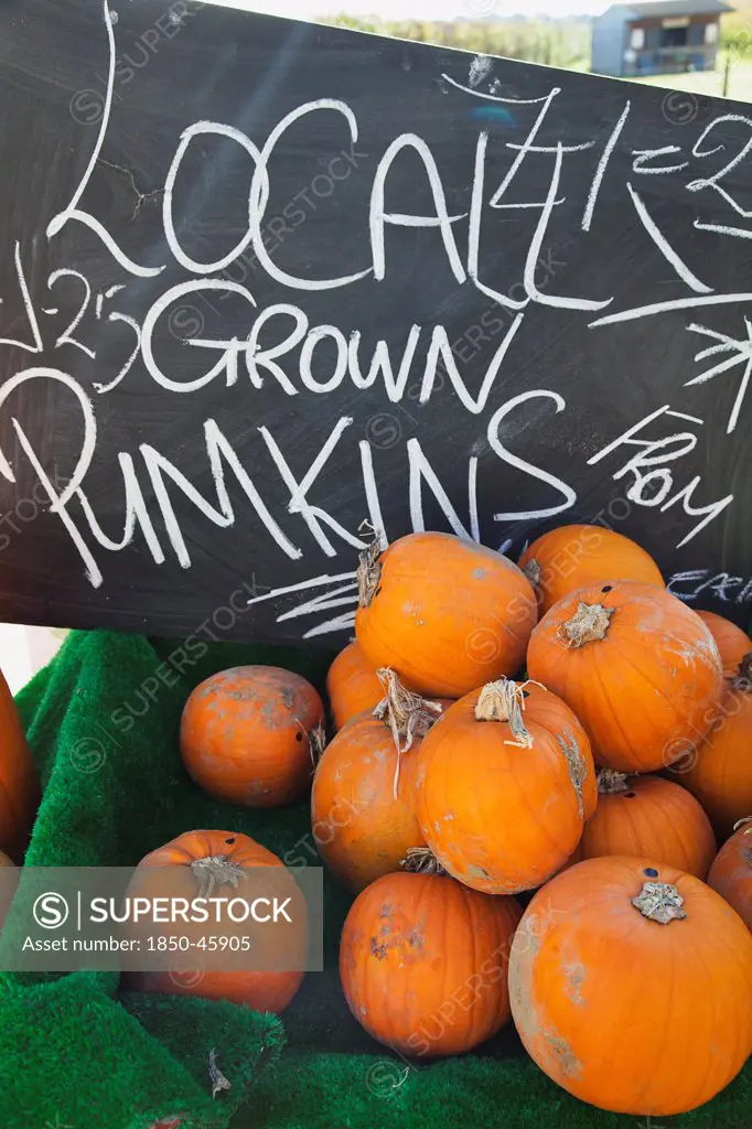 Food, Fruit, Pumpkins for sale at Grange Farms market store.