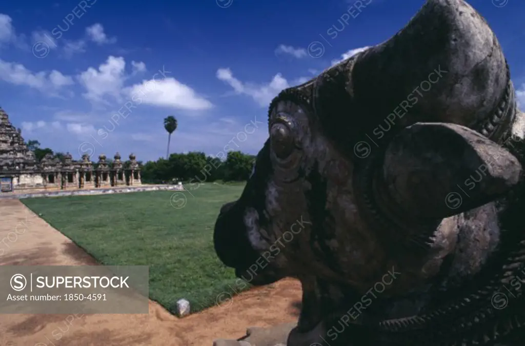 India, Tamil Nadu, Kanchipuram, Kailasanatha Temple Dedicated To Siva And Dating From The 7Th Century.  Part View Of Exterior With Statue Of Nandi Bull Facing Temple In Immediate Foreground.