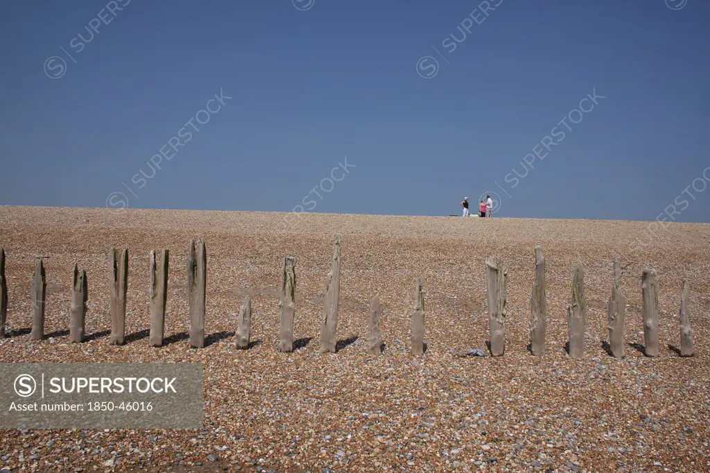 England, East Sussex, Winchelsea, View of rotten wooden groynes on the shingle beach and people walking in distance..