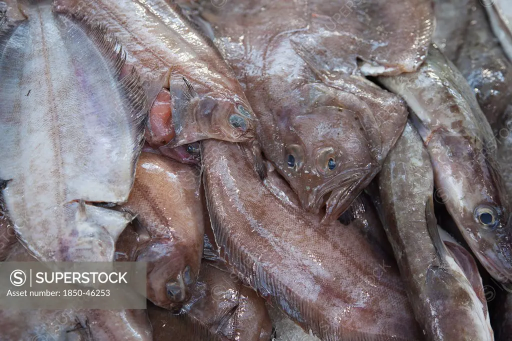 Ireland, North, Belfast, St Georges Market, close up of fresh fish display.
