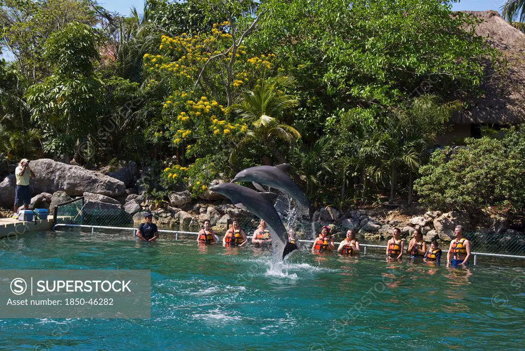 Mexico, Quintana Roo, Puerto Aventuras, Puerto Aventuras Marina, Dolphin Experience.