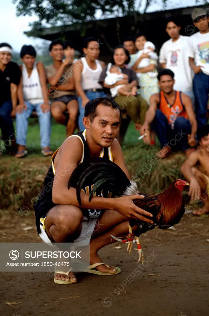 Philippines, Cock Fighting, Man holding Cockerell in readiness for bout.
