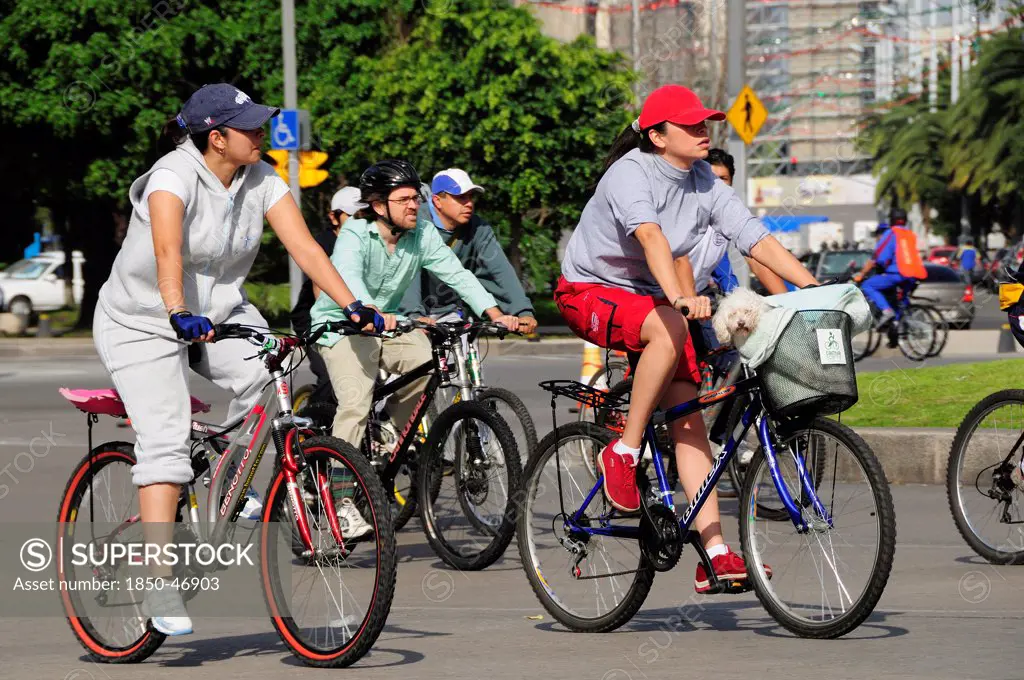 Mexico, Federal District, Mexico City, Cyclists on Reforma one carrying small dog in basket on bicycle handlebars.