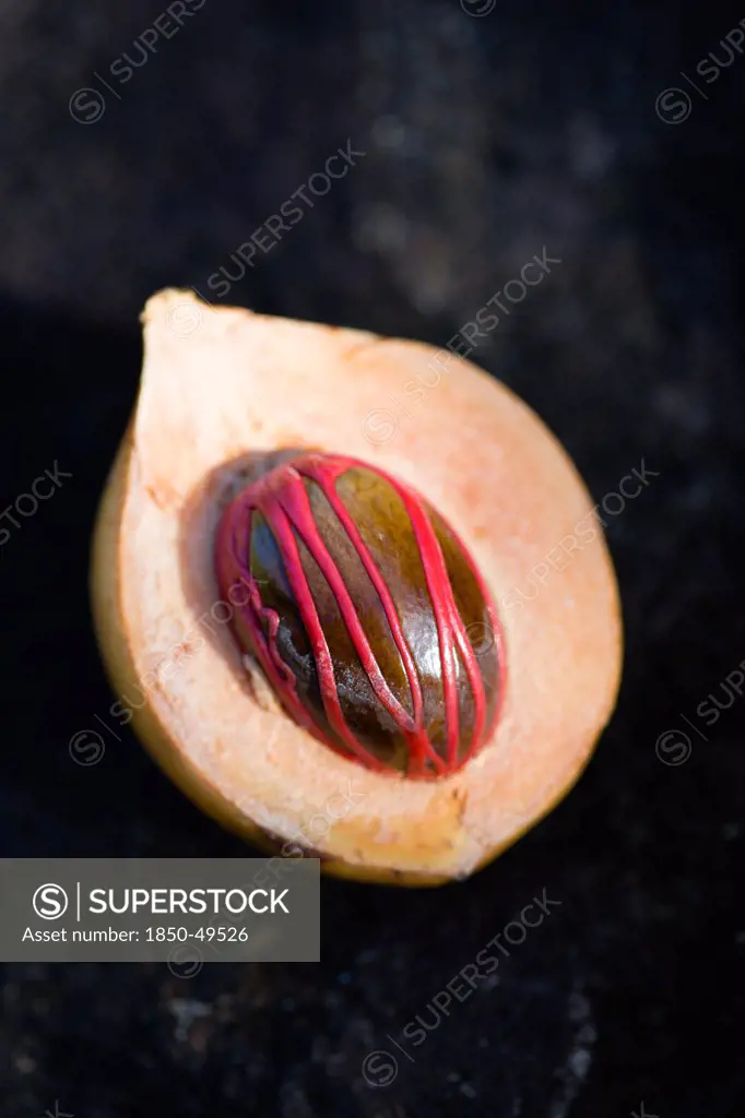 West Indies, Windward Islands, Grenada, Nutmeg fruit showing red mace around the nutmeg nut.