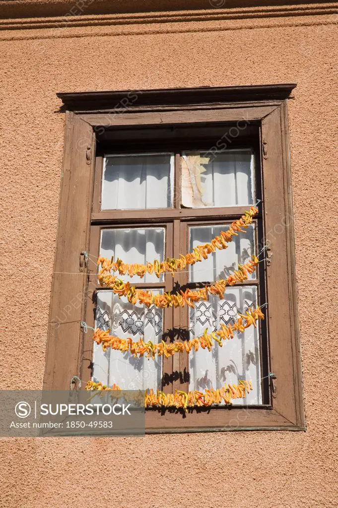 Turkey, Aydin Province, Kusadasi, Strings of yellow and orange chili peppers hanging from wooden window frame of house in the old town to dry in the summer sunshine.