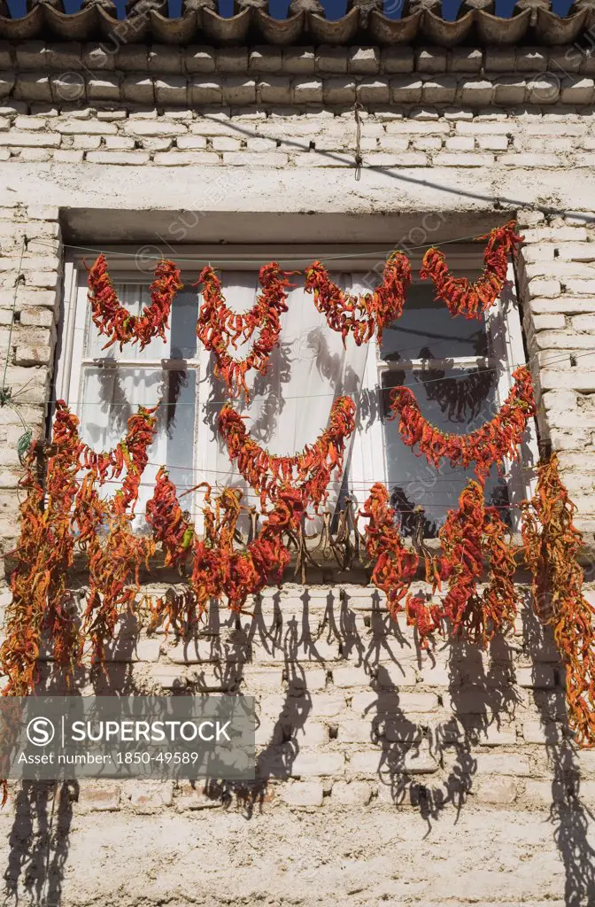 Turkey, Aydin Province, Kusadasi, Strings of red and orange chilies hung up to dry in late afternoon summer sunshine across windows of whitewashed house in the old town casting shadows over the brickwork.