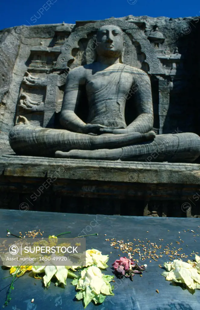 Sri Lanka, Polonnaruwa, Gal Vihara. Lotus flower offerings left in front of giant seated Buddha figure carved into cliff.