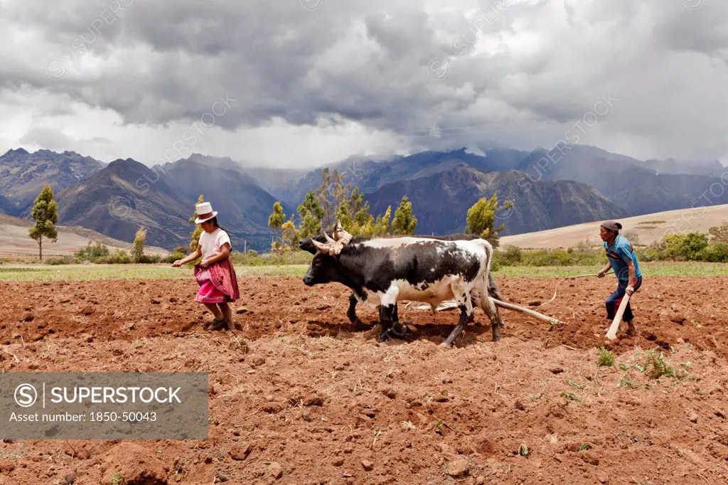 Peru, Chinchero, Husband and Wife farmers planting corn.