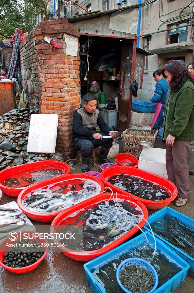 China, Jiangsu, Nanjing, Fishmonger opening and cleaning shellfish with a knife for a customer at a street market near Xuanwu Lake Red and blue plastic tubs with live fish and shellfish with water being oxygenated via plastic tubes.