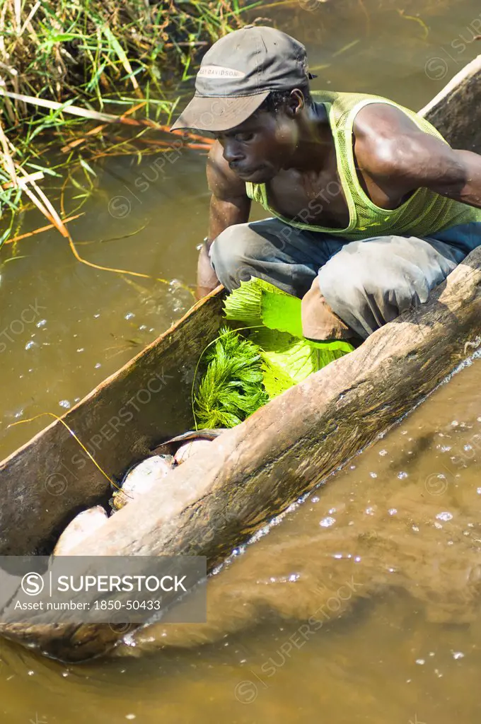 Burundi, Cibitoke Province, Cibitoke, Fisherman in dug out canoes on a small lake just north of Cibitoke town.