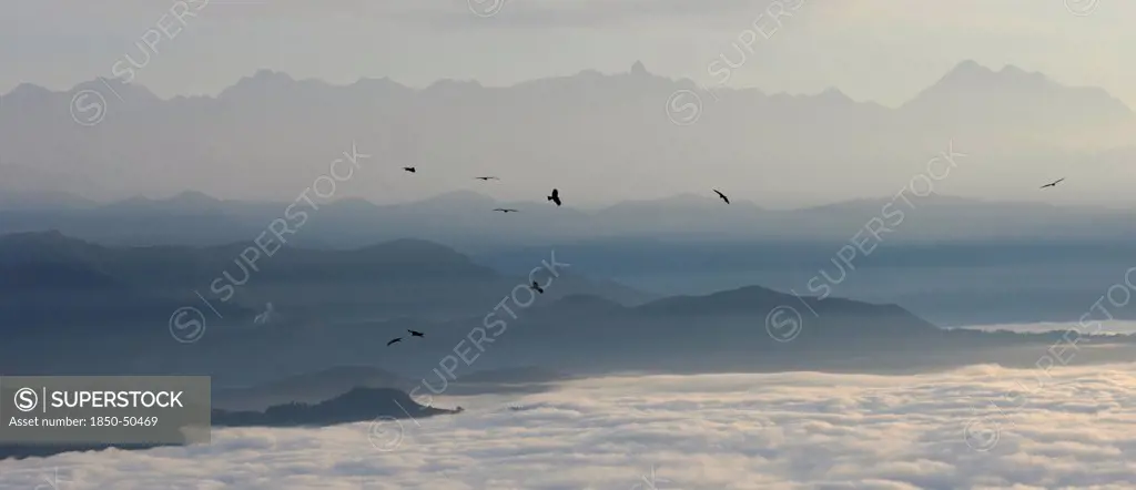 Nepal, Nagarkot, View across clouded Kathmandu valley towards Himalayan mountains birds of prey soaring on air currents.