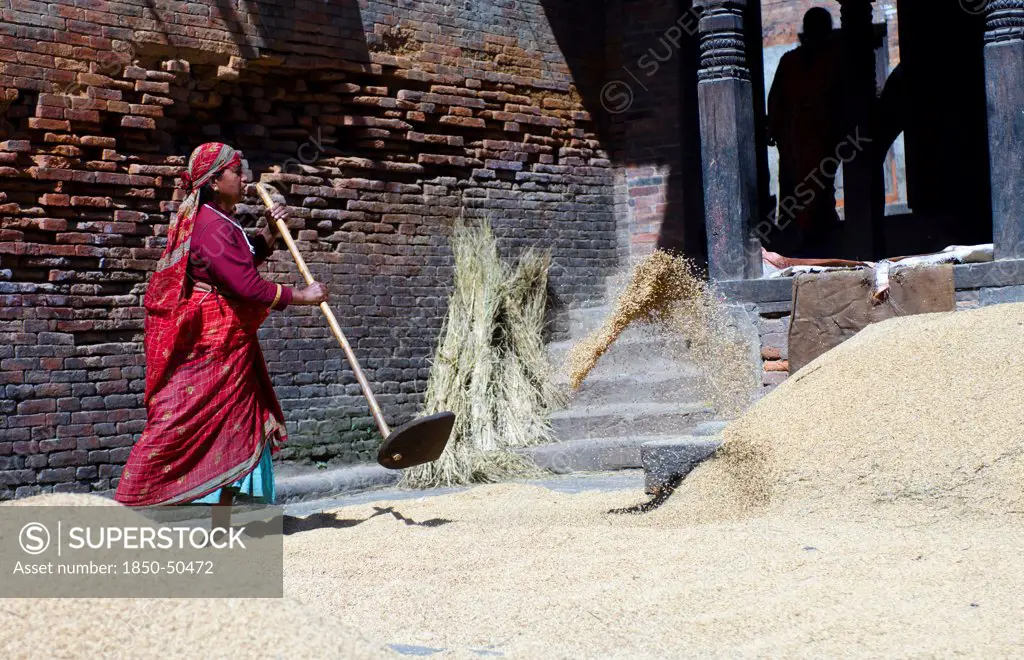 Nepal, Bhaktapur, Suryamadhi area Woman tossing grain in sun.