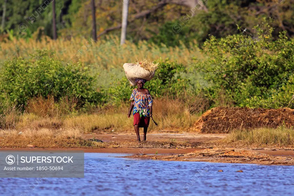 Gambia, People, Woman walking bare footed towards water carrying straw on her head.