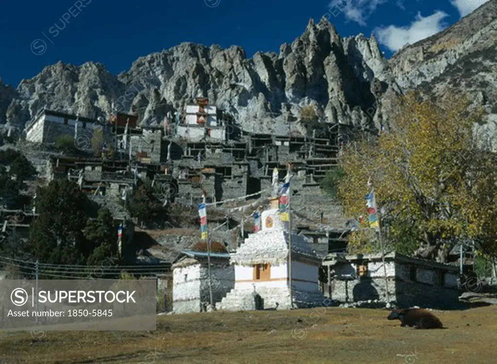 Nepal, Annapurna Region, Braga, Village Near Manang.  Flat Roofed Stone Houses And Stupa Hung With Prayer Flags With Steep Cliffs Behind.