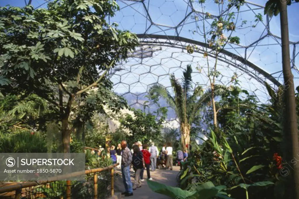 England, Cornwall, St. Austell, 'Eden Project.  Humid Tropics Biome Interior, Visitors On Pathway Amongst Tropical Plants, Domed Geodesic Roof Above,'