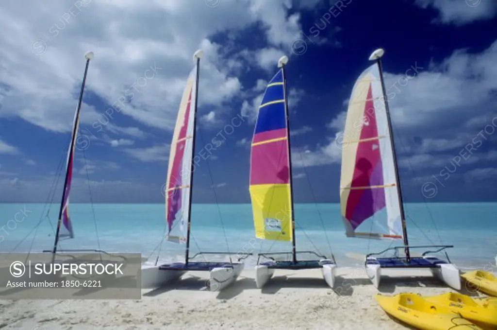 West Indies, Antigua, Jolly Beach, Line Of Hobiecats With Brightly Coloured Sails On Sandy Beach.  Sea Behind And Blue Sky With Windswept Clouds.