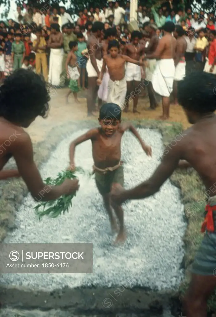 Sri Lanka , Chilaw, 'Young Boys Firewalking, Walking Barefoot Across Hot Coals Encouraged By Watching Crowd And Waiting Men.'