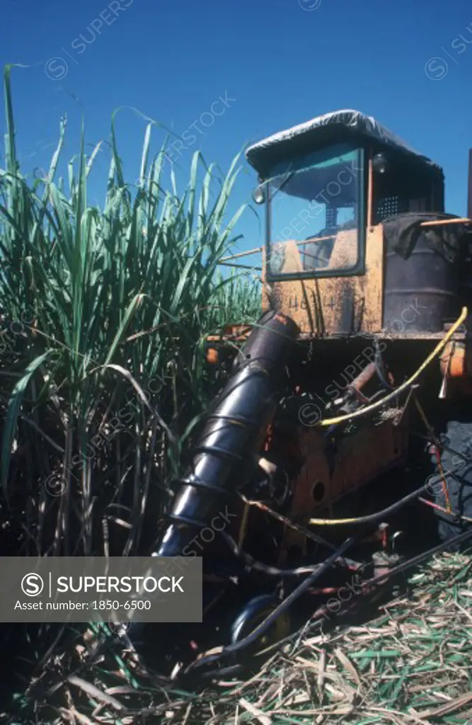Cuba, Holguin, Sugar Cane Harvest Machine With Archimedes Screw Mechanism To Gather The Canes