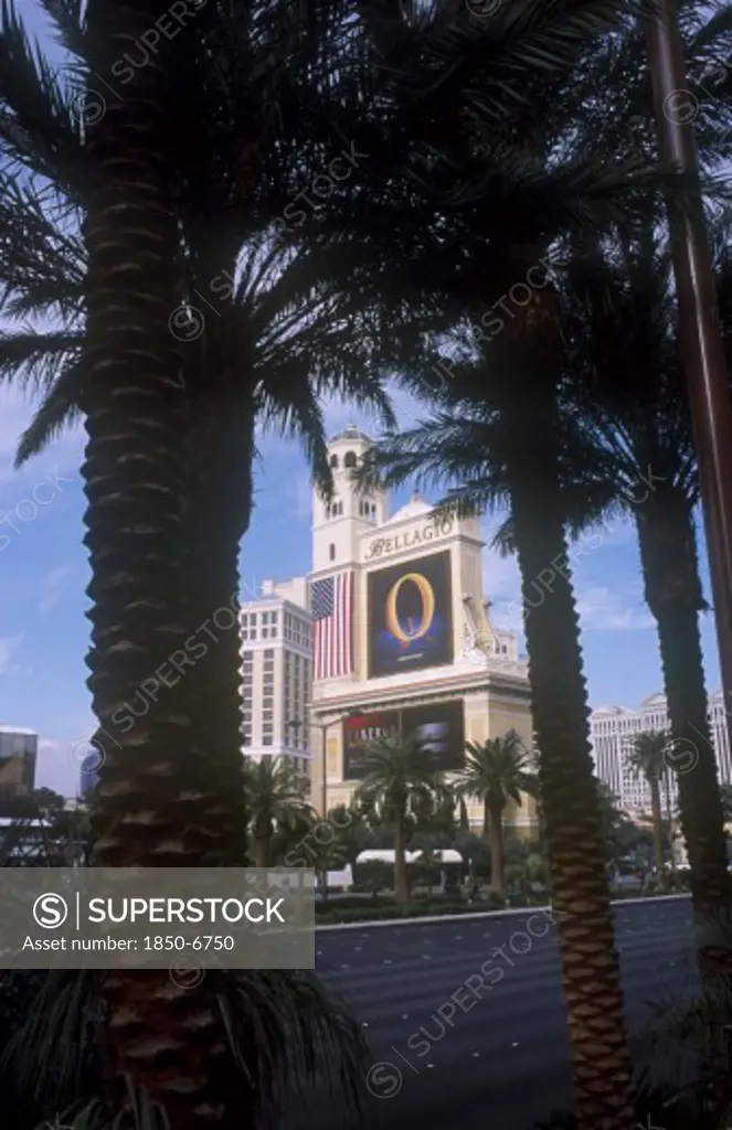 Usa, Nevada, Las Vegas, Bellagio Hotel Sign Advertising The  O  Water Based Entertainment Show Seen Through Palm Trees