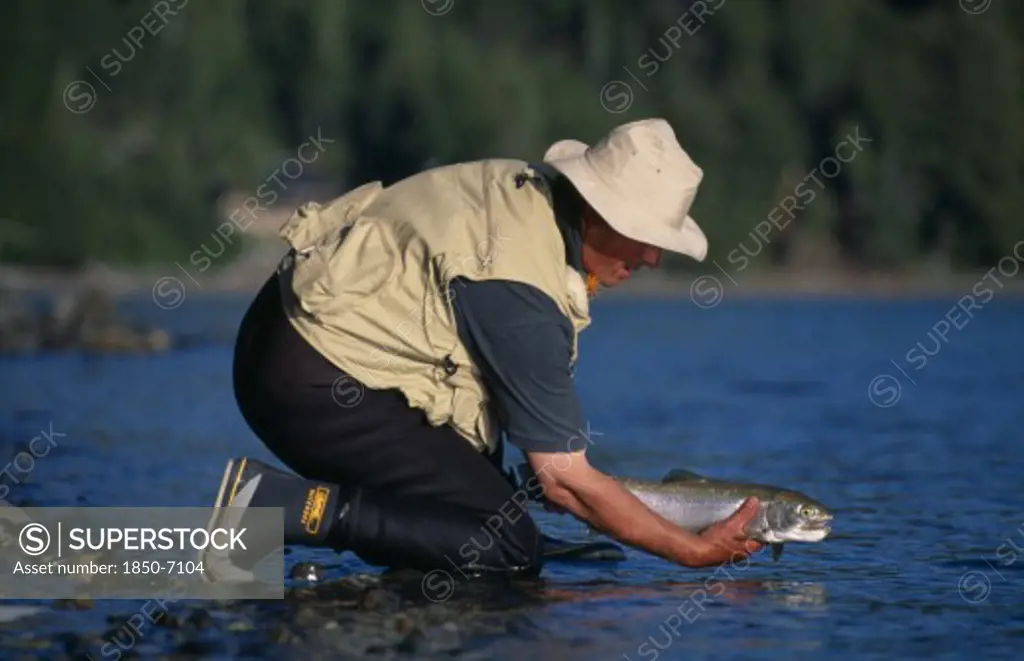 Argentina, Patagonia, Neuquen, 'Parque Nacional Nahuel Huapi, Lago Nahuel Huapi.  Fly Fisherman Releasing Fish.'