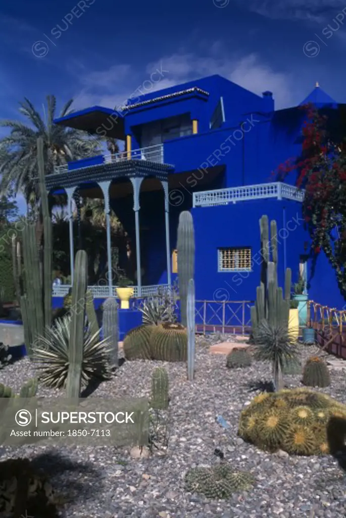 Morocco, Marrakech, The Jardin Majorelle . Ornamental Garden With Cactus And Palm Trees And Colbolt Blue Building