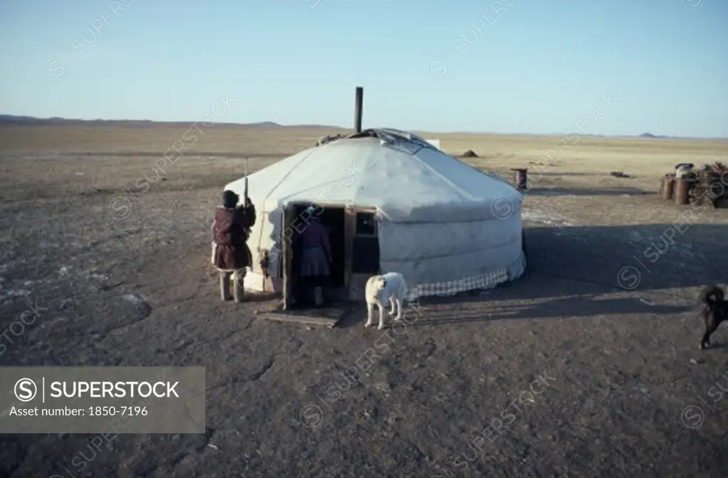 Mongolia, People, Ger Or Yurt In Winter Camp With Dogs Tied Up Outside And Herdsman Standing Beside Entrance.