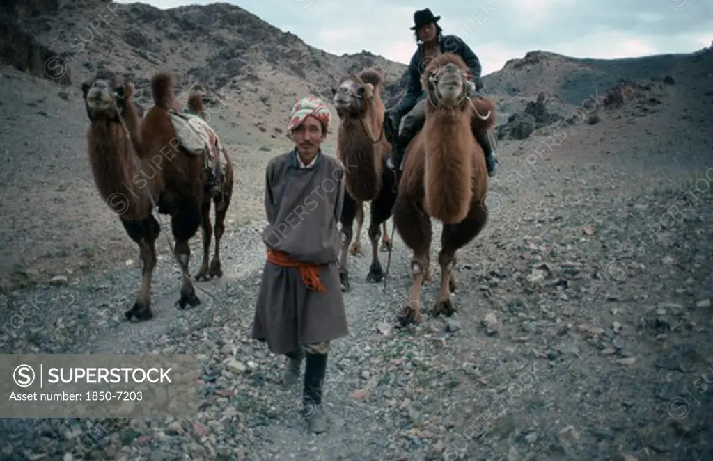 Mongolia, Gobi Desert, Herdsmen And Camels