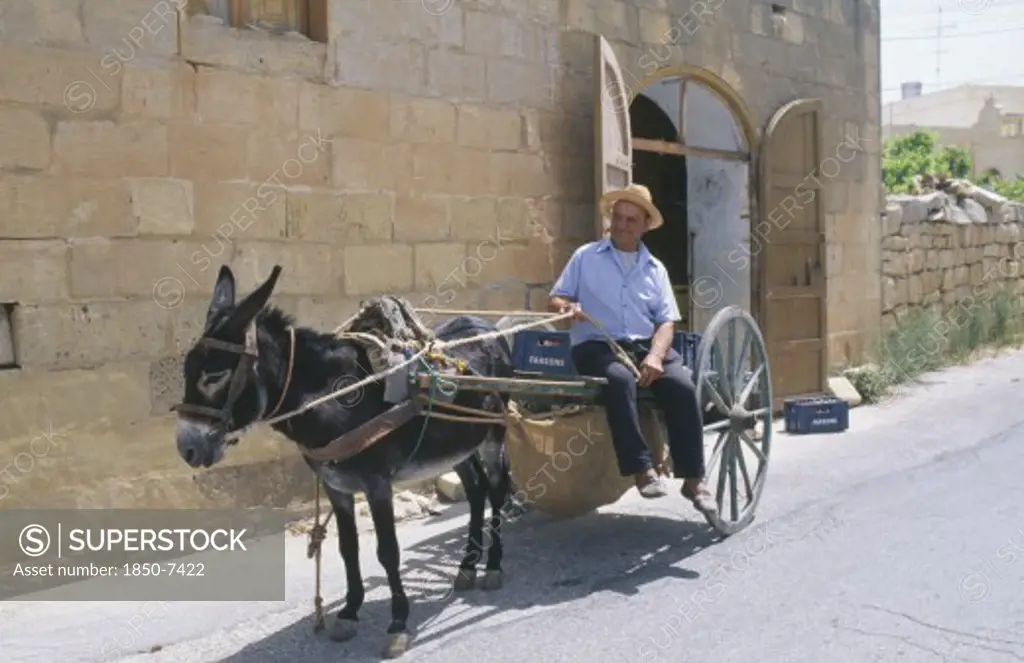 Malta, Gozo, Man With Donkey Cart In Street