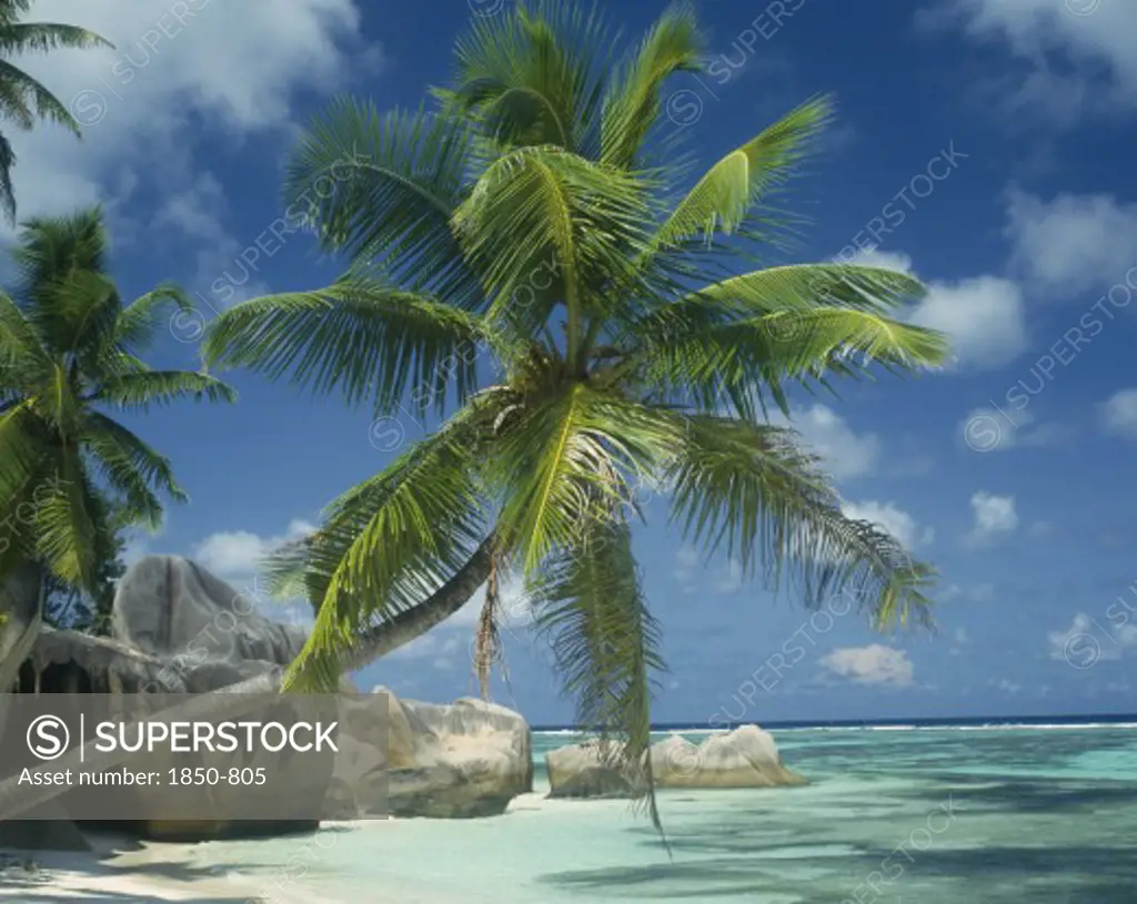 Seychelles, La Digue, Reunion Beach, Large Boulders At Waters Edge With A Coconut Palm Tree Leaning Across The Turquoise Water