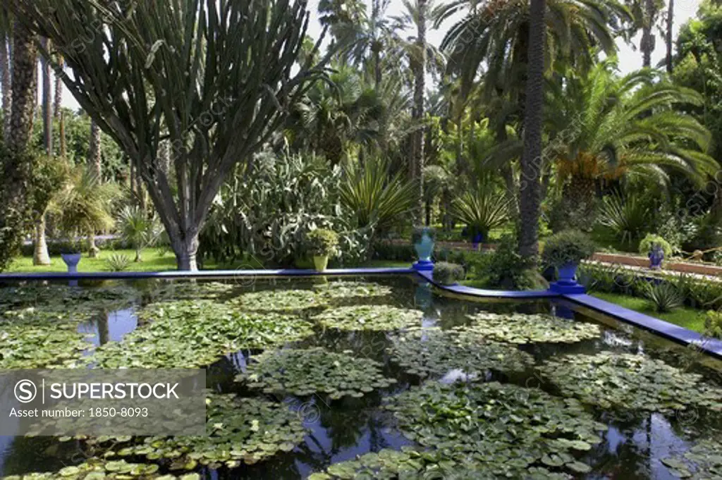 Morocco, Marrakech, Majorelle Jardin. View Over Lily Pond With Bright Blue Border