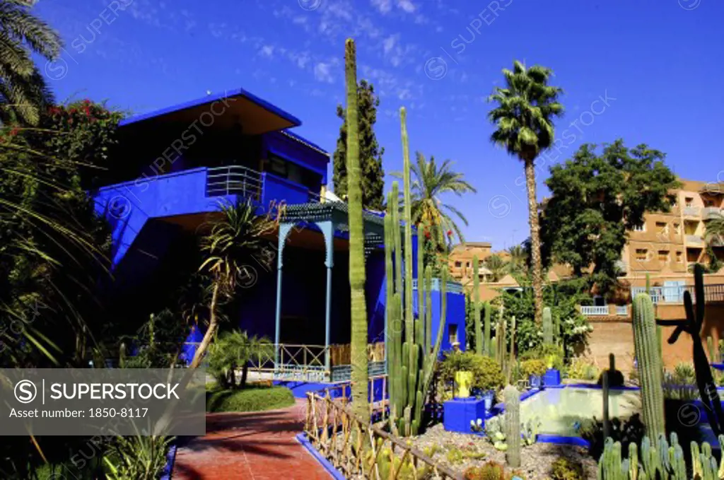 Morocco, Marrakech, Majorelle Jardin. Bright Blue Building With Cactus And Palm Tree Borders