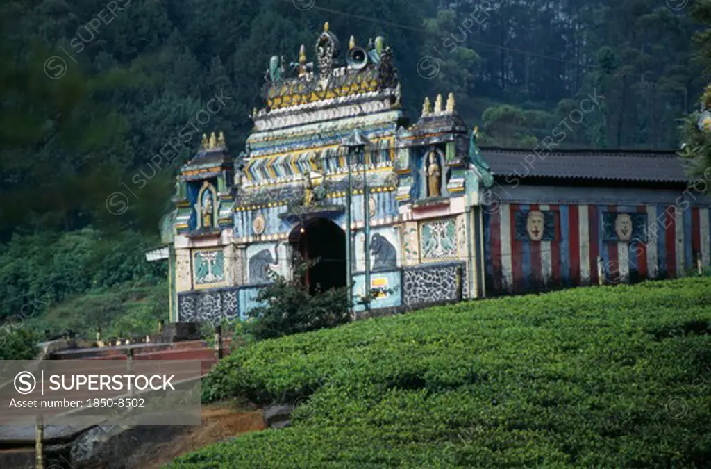 Sri Lanka, Nuwara Eliya, Hindu Temple In The Centre Of A Tea Plantation Of Which The Tea Pickers Are Tamil Indians